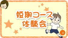 ZR[X̌